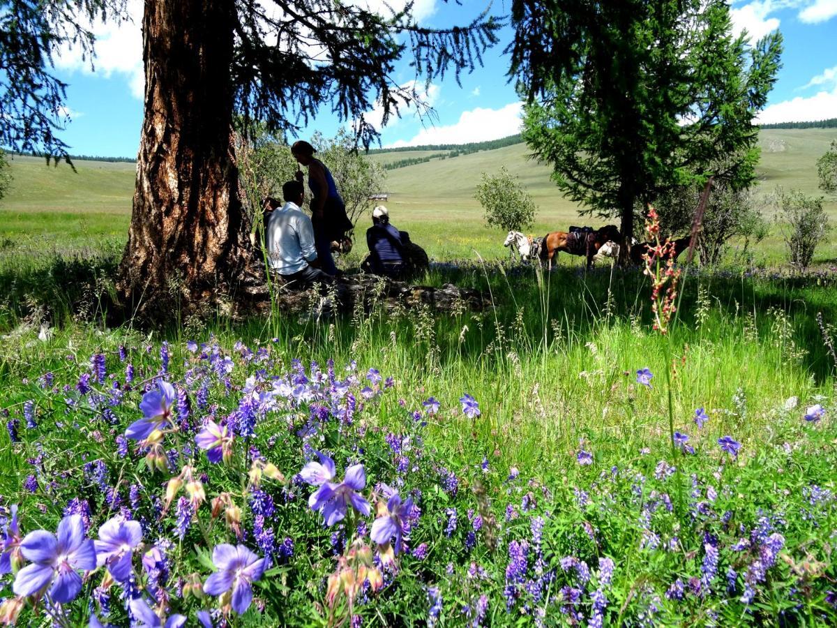 Top Tour & Guesthouse Mongolia Ułan Bator Zewnętrze zdjęcie